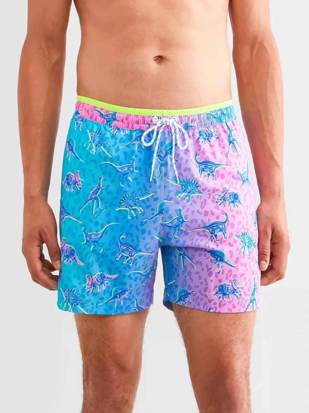 Chubbies Dino Delights Swim Trunks